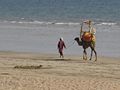 Hawks bay karachi.JPG