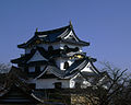 Hikone Castle wp.jpg