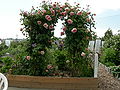 Interbay P-Patch rose gate.jpg