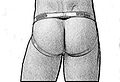 Jockstrap b.jpg