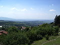 Kalinica 4.JPG