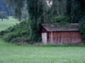 Mehring1.jpg