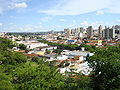 Mirante bosque.JPG