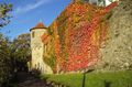 Neckarsulm StadtMauer01.JPG