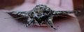 Night moth 01.jpg