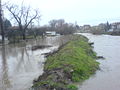 November flood4.JPG