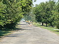 Novozlatopol 04 20090804.JPG