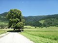 Obermillstatt 25 2006.JPG
