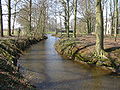 P4010340 Regge river Westervlier.JPG