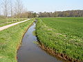 P4010365 Regge Warmelo.JPG