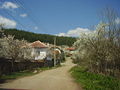 P4150187.JPG