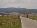 P4150201.JPG
