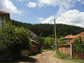 P6170203.JPG