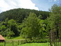 P6170219.JPG