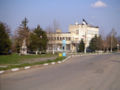 PICT0387.jpg