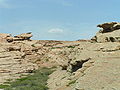 PICT1725.JPG