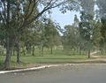 Parqueemcanoas.jpg