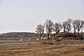 Paysage de Brenne.JPG