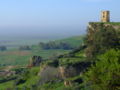 Picachocarmona.JPG