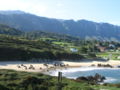 Playa-de-Toro.JPG
