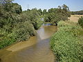 Río Guadarrama Batres.jpg