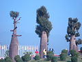 RFE06 014.jpg