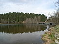 Regener See.JPG