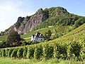 Rhoendorf Weinberge.jpg