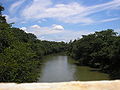 Ribeirão S. Vicente.JPG