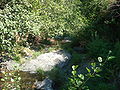Ribeira do Alvito 2.JPG