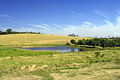 Rio Novo (nascente) - Itatinga REFON .jpg