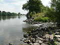 Rodau Mündung.JPG