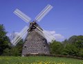 RodenbergMühle.jpg