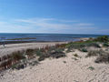 Rota - playa de Punta Candor.jpg