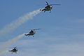 Rotores de Portugal-AirExpo2009-2.JPG