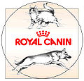 Royal 1cd.jpg