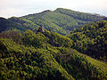 Ruine Rabenstein.JPG