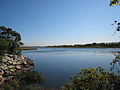 Salt Marsh2.jpg