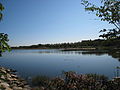 Salt Marsh3.jpg