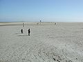 Sanktpeterording fg03.jpg