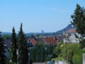 Selhof Bonn.JPG