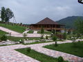 Shajn7.JPG