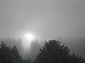 Sun shining through thick Stratus.jpg