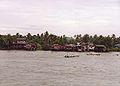 Tapi River Surat Thani.jpg