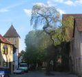 Treegate Altdorf.jpg