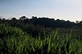 TresLagoaspaisagem.JPG