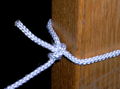 Two half hitches 3.jpg