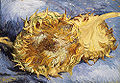 Two sunflowers.jpg