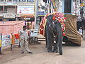 Upupi - 08.jpg