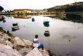 Viveromuelle.jpg